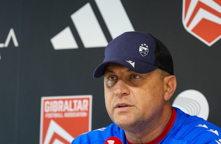 VLADAN MILOJEVIĆ: “VEŠTAČKA TRAVA JE ZUZETNO SPORA, TREBA NAM BRZO VREME ADAPTACIJE I DA UĐEMO U IGRU”